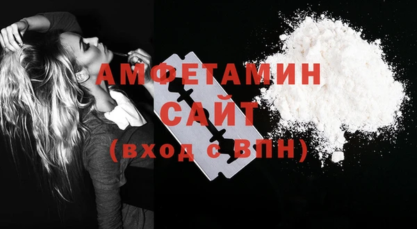 крисы Богородицк