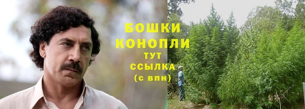 героин Богданович