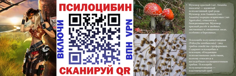 omg ССЫЛКА  Беслан  Галлюциногенные грибы Psilocybine cubensis 